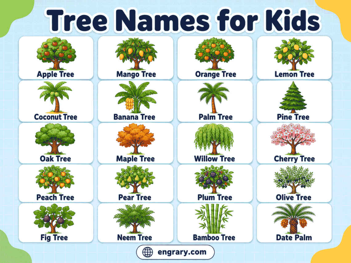 Tree Names for Kids: Fruit, Shade & Tall Trees with Pictures