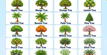 Tree Names for Kids: Fruit, Shade & Tall Trees with Pictures