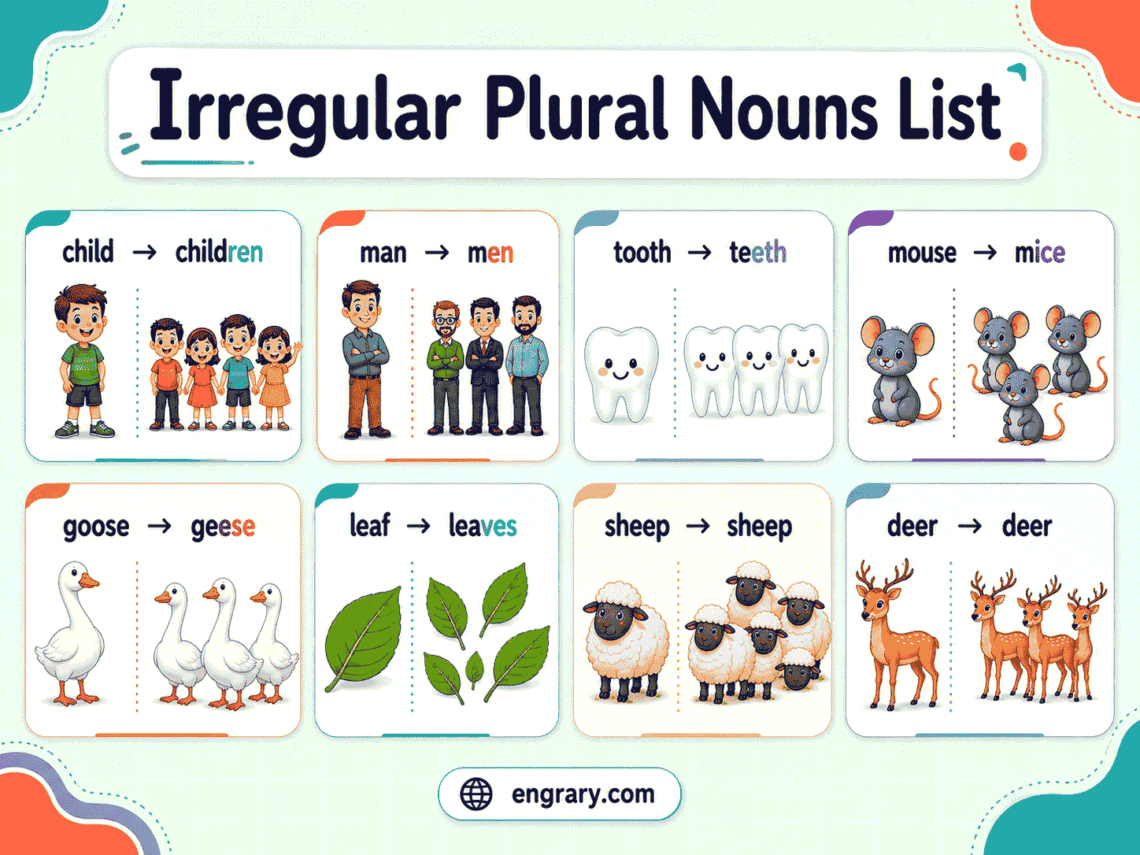 100+ Common Irregular Plural Nouns List in English
