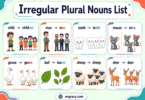 100+ Common Irregular Plural Nouns List in English