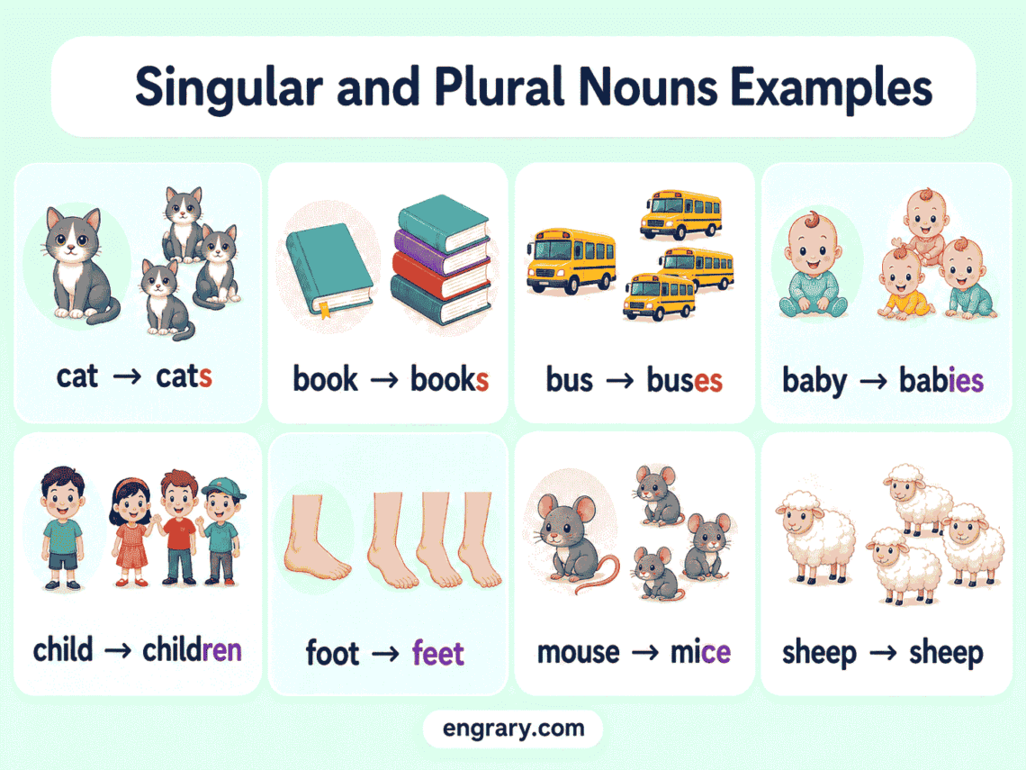 200+ Easy Singular and Plural Noun Examples for Kids