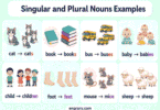 200+ Easy Singular and Plural Noun Examples for Kids