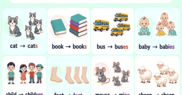 200+ Easy Singular and Plural Noun Examples for Kids