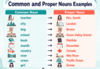 50+ Common and Proper Nouns Examples With Sentences