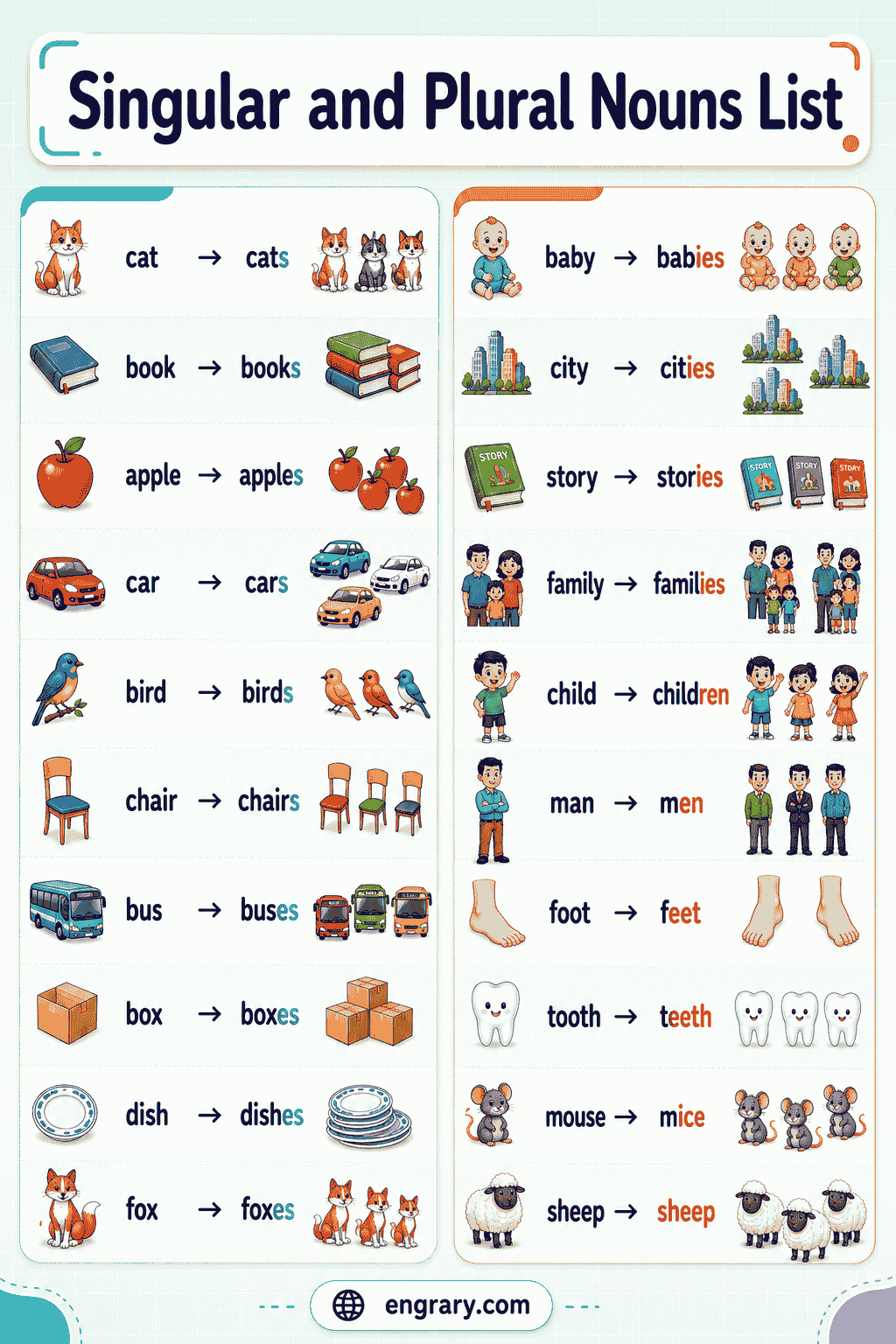 Common Singular and Plural Nouns List