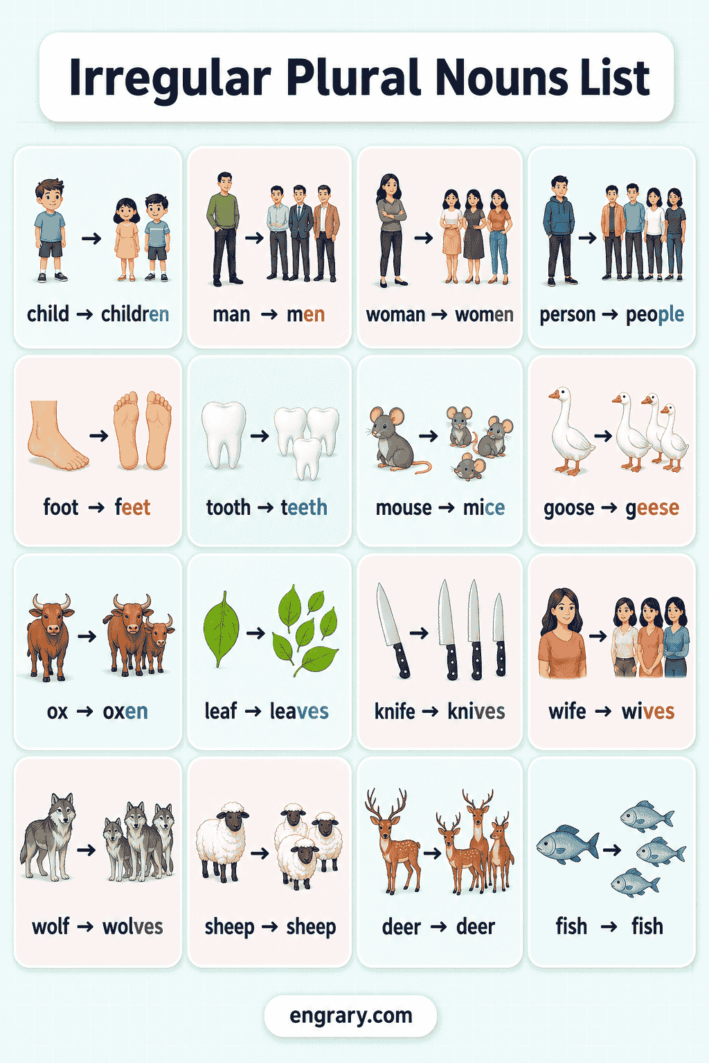 Irregular Plural Nouns List With Examples
