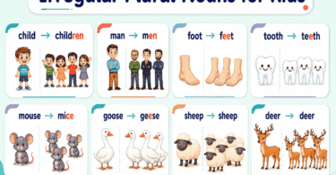 Irregular Plural Nouns for Kids: Easy Rules and Examples