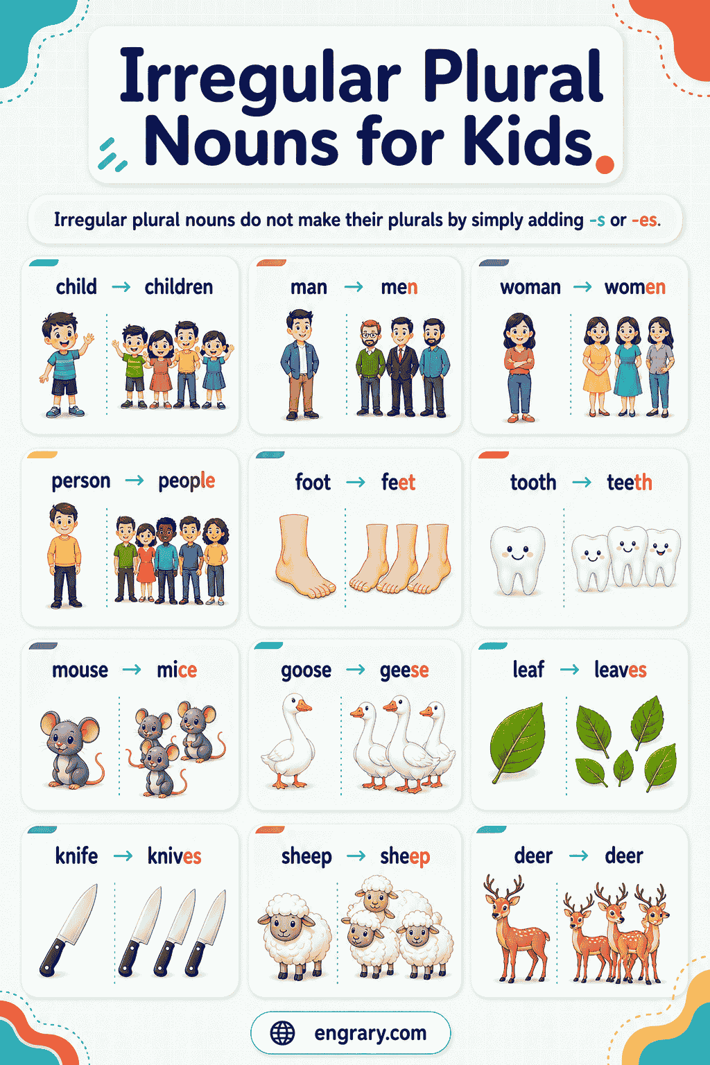 Irregular Plural Nouns for Kids With Examples
