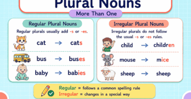Regular and Irregular Plural Nouns: Rules and Examples