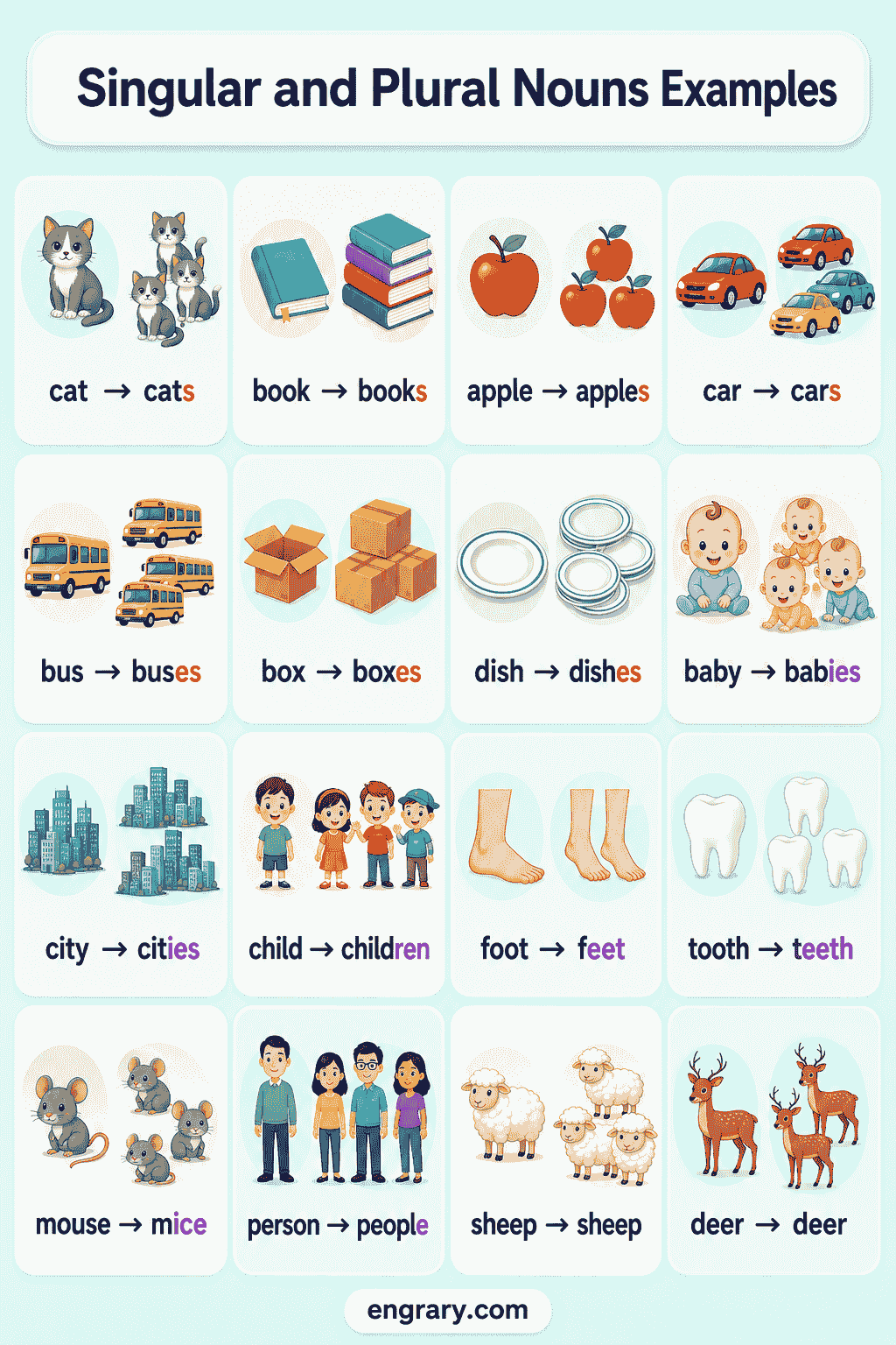 Singular and Plural Nouns Examples With Sentences