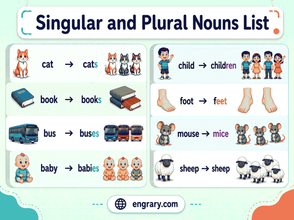 Singular and Plural Nouns List With Easy Examples