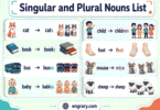 Singular and Plural Nouns List With Easy Examples