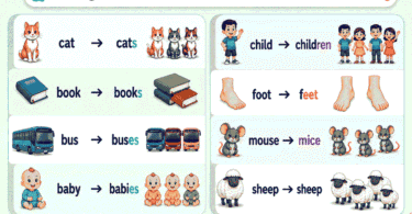 Singular and Plural Nouns List With Easy Examples
