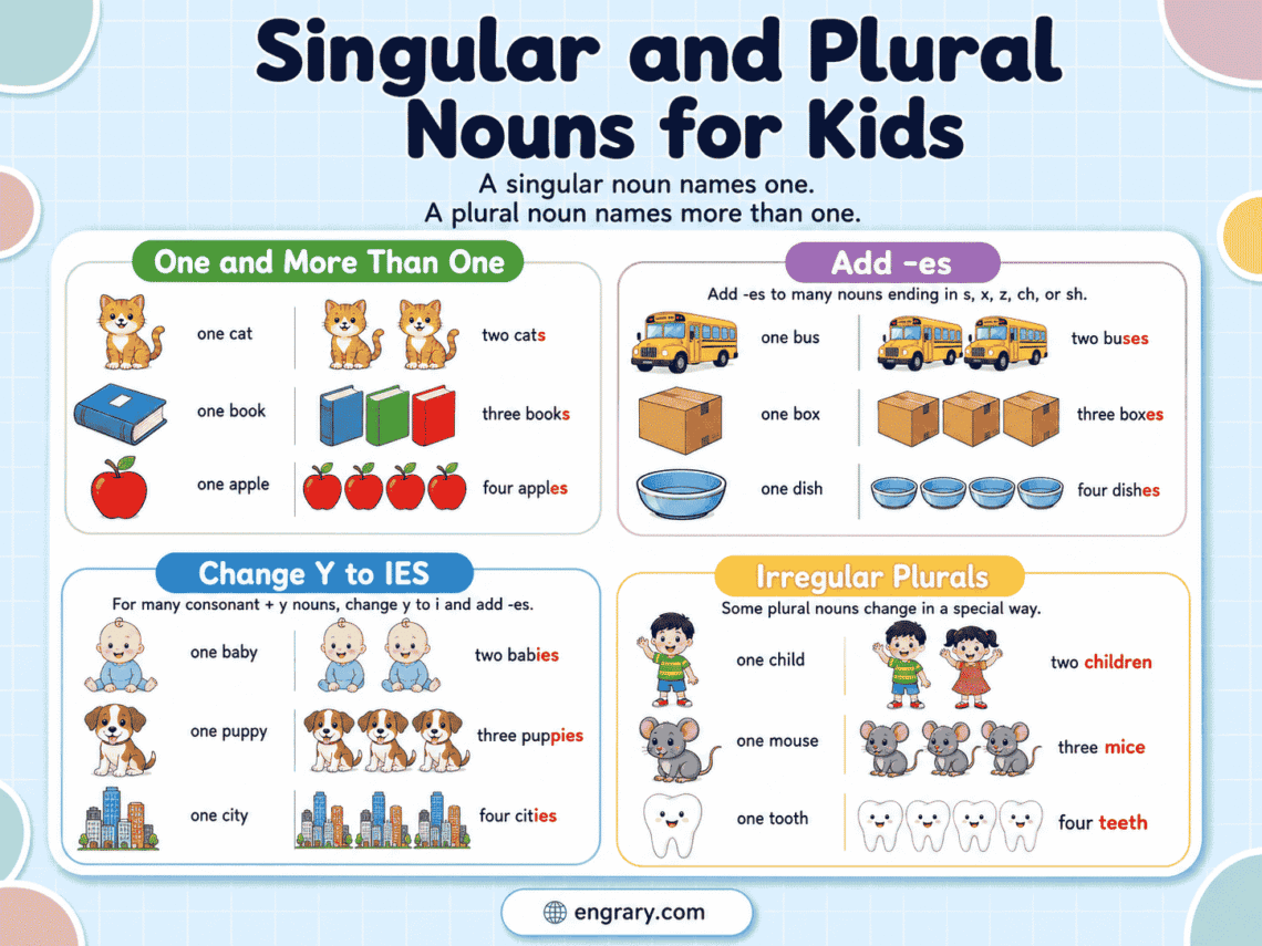 Singular and Plural Nouns for Kids: Rules and Examples