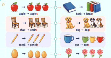 100+ Countable Nouns Examples With Singular and Plural Forms