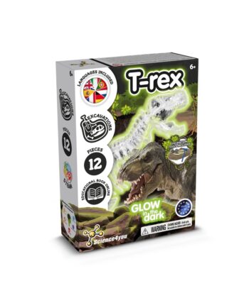 Fossil Excavation Kit I