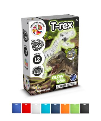 Fossil Excavation Kit IV