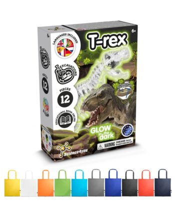 Fossil Excavation Kit V