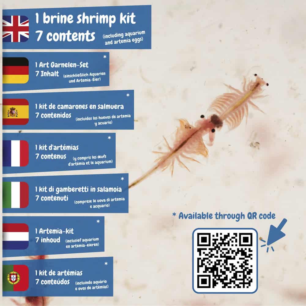 Jurassic Pets Kit III. Pedagogiskt spel levereras med en presentpåse av kraftpapper (90 g/m²) - Bild 8