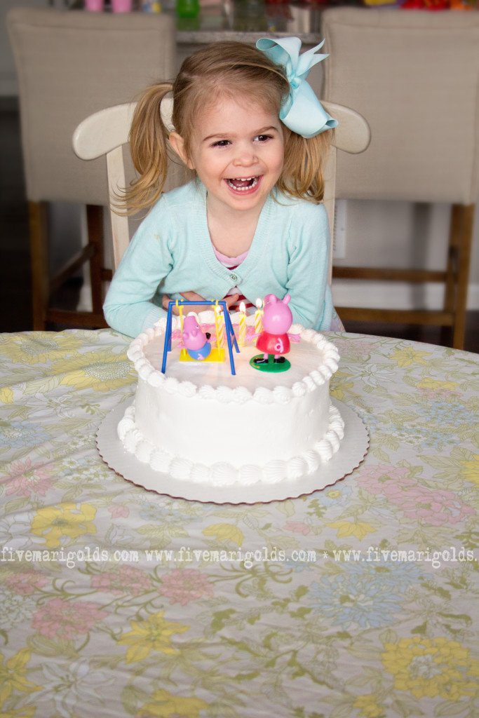 Lazy Gal's Guide to Year In Review Photo Books 