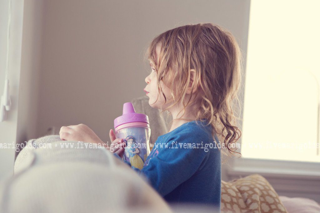 Lazy Gal's Guide to Year In Review Photo Books 