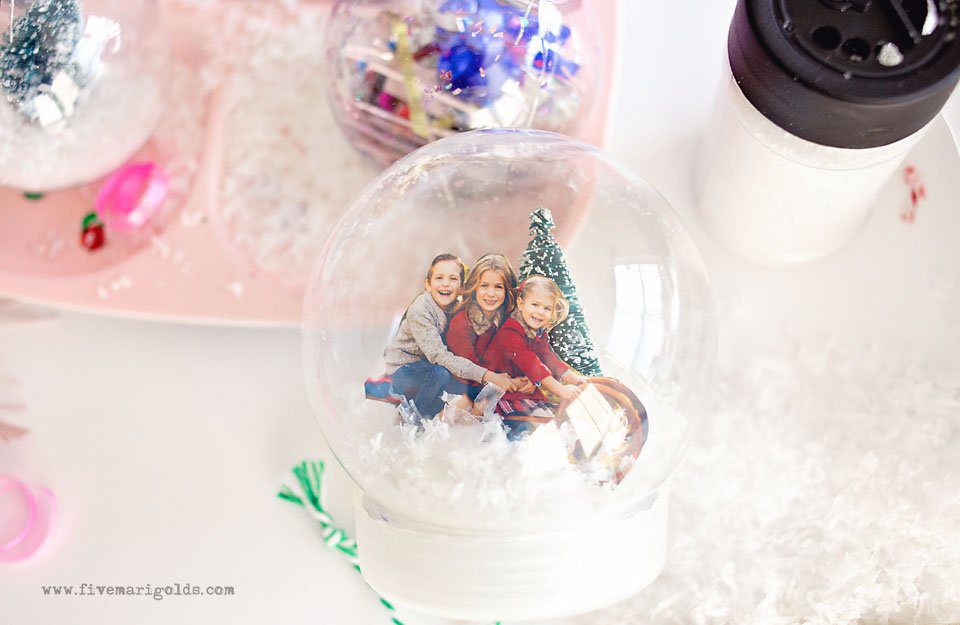 Required fields are marked *