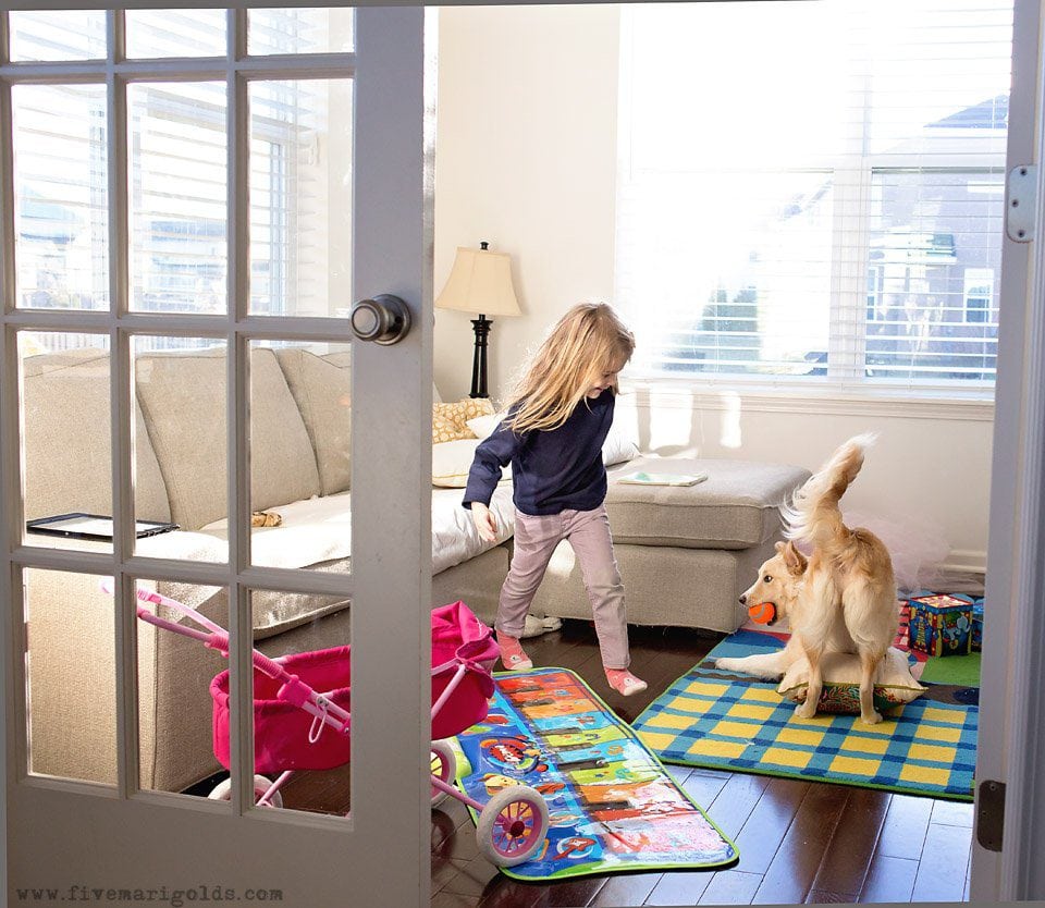 5 Tips for Photographing Dogs | Five Marigolds #FeedDogsPurina #ad