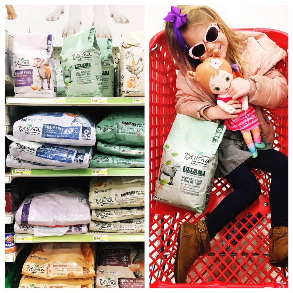 5 Pet Photography Tips for Photographing Dogs | Five Marigolds