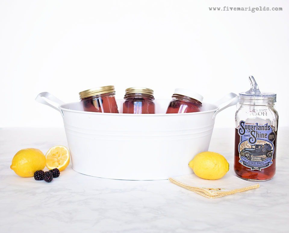 Spiked BlackBerry Lemonade Pina Colada Float | Five Marigolds