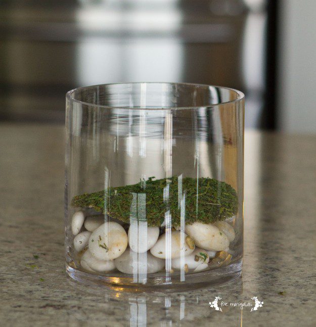 DIY Open Air Terrarium | Five Marigolds