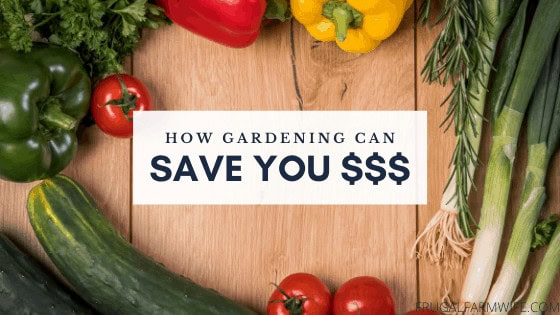 How Gardening Can Save You Money Every Year