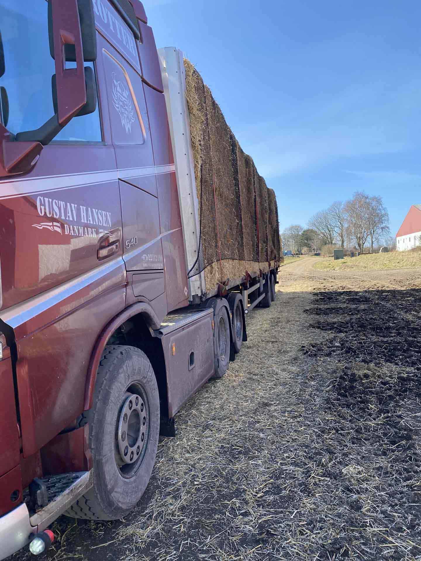 Mørkerød lastbil fra Gustav Hansen med ladet fyldt af gods i landskabet.