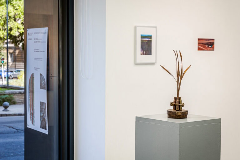 Megrendítő nyugalom