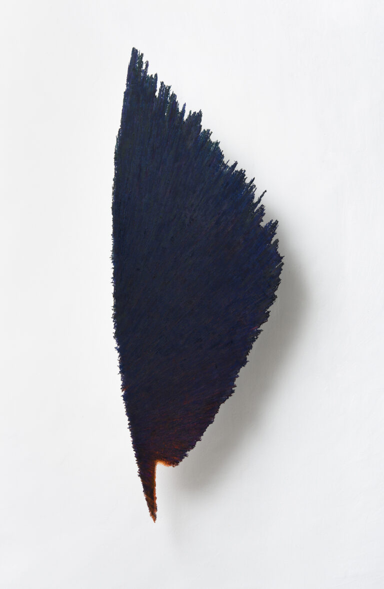 Organikusan sérülő szimmetria