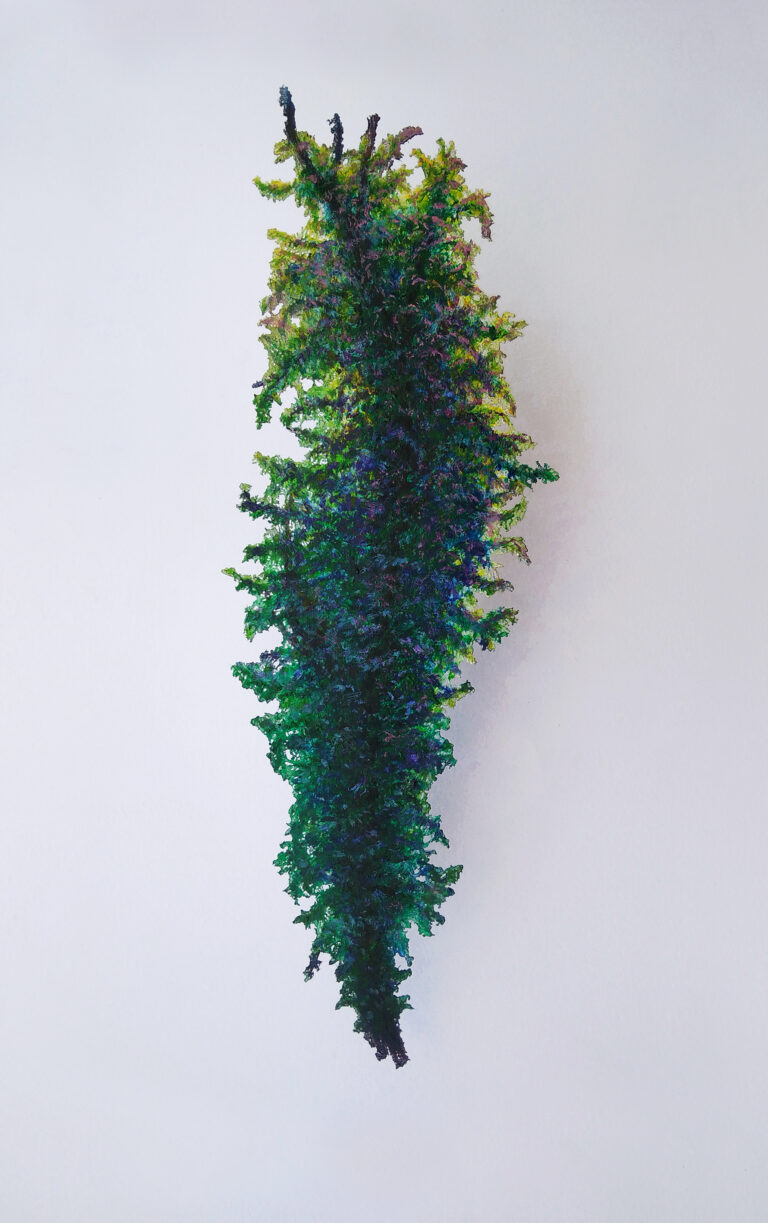 Organikusan sérülő szimmetria