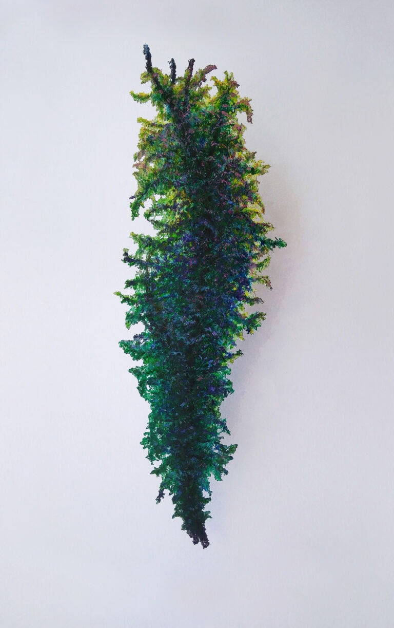 Kiállításmegnyitó | Organikusan sérülő szimmetria