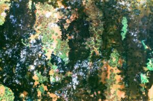 Kiállításmegnyitó | KIBONTÁS / UNFOLDING