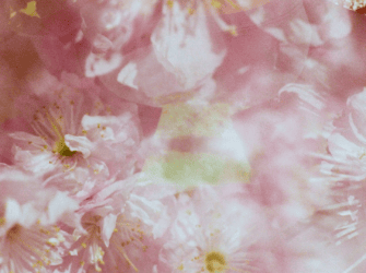 2026. 04. 03–06.  | ÜNNEPI ZÁRVATARTÁS