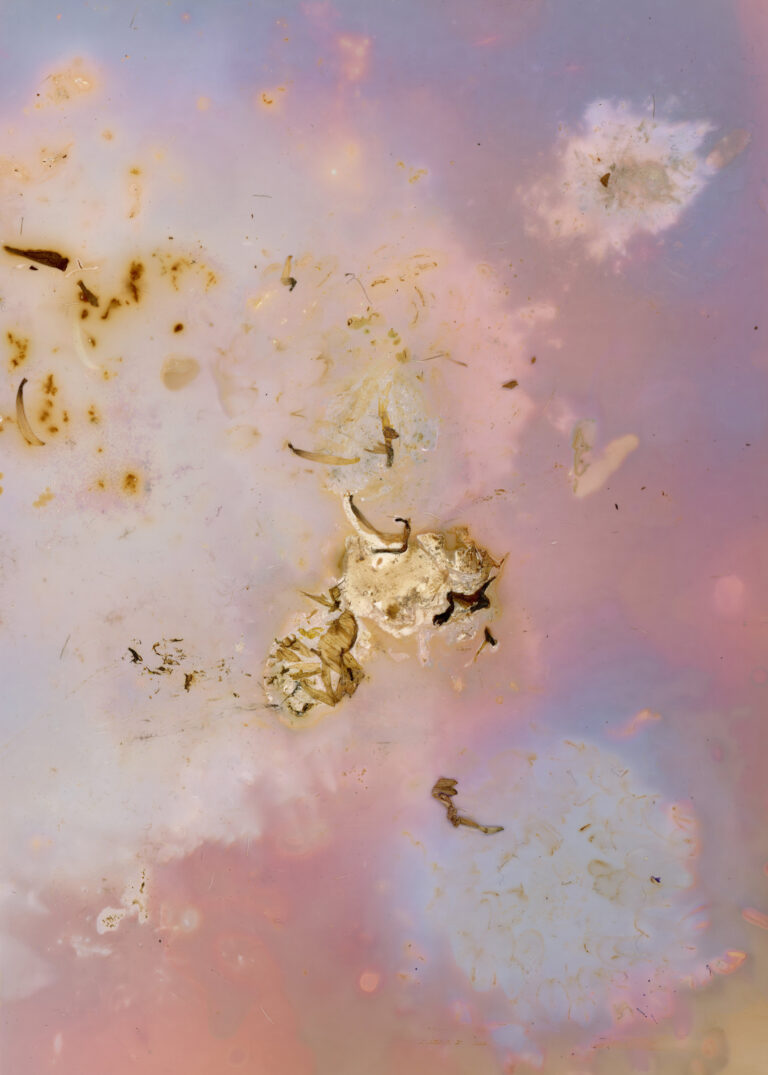 Boldogságvarázslat