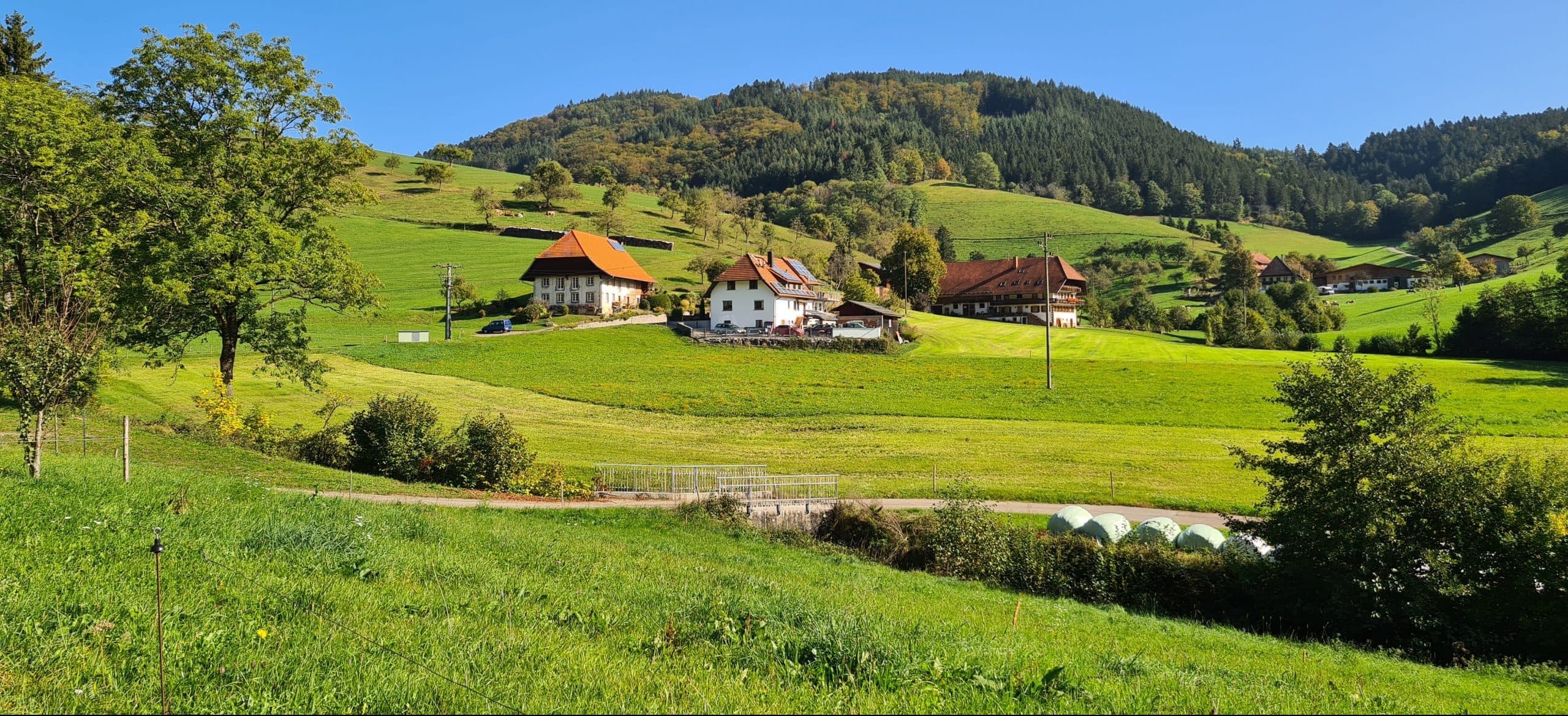 Schwarzwald - Dem Sommer hinterher Tour
