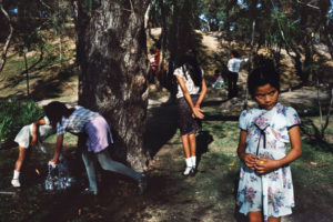Alex Webb Suffering of Light