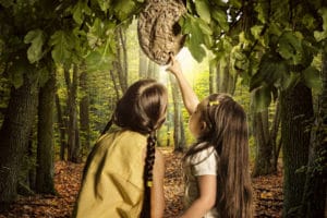 Holly Andres The Summer of the Hornets