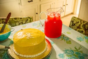 Holly Andres The Summer of the Hornets