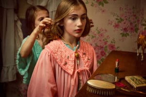 Holly Andres The Fallen Fawn