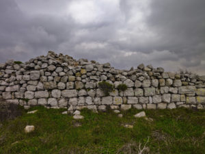 Shai Kremer Fallen Empire