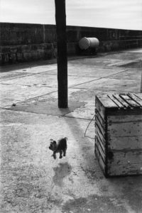 Elliott Erwitt