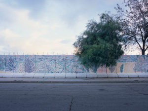 Shai Kremer Infected Landscape