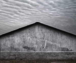 Tamas Dezso Here, Anywhere