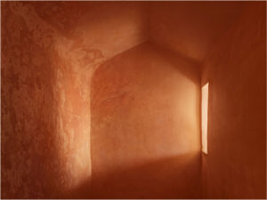 Ljubodrag Andric India