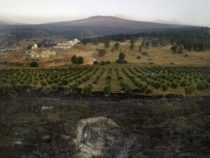 Shai Kremer Infected Landscape